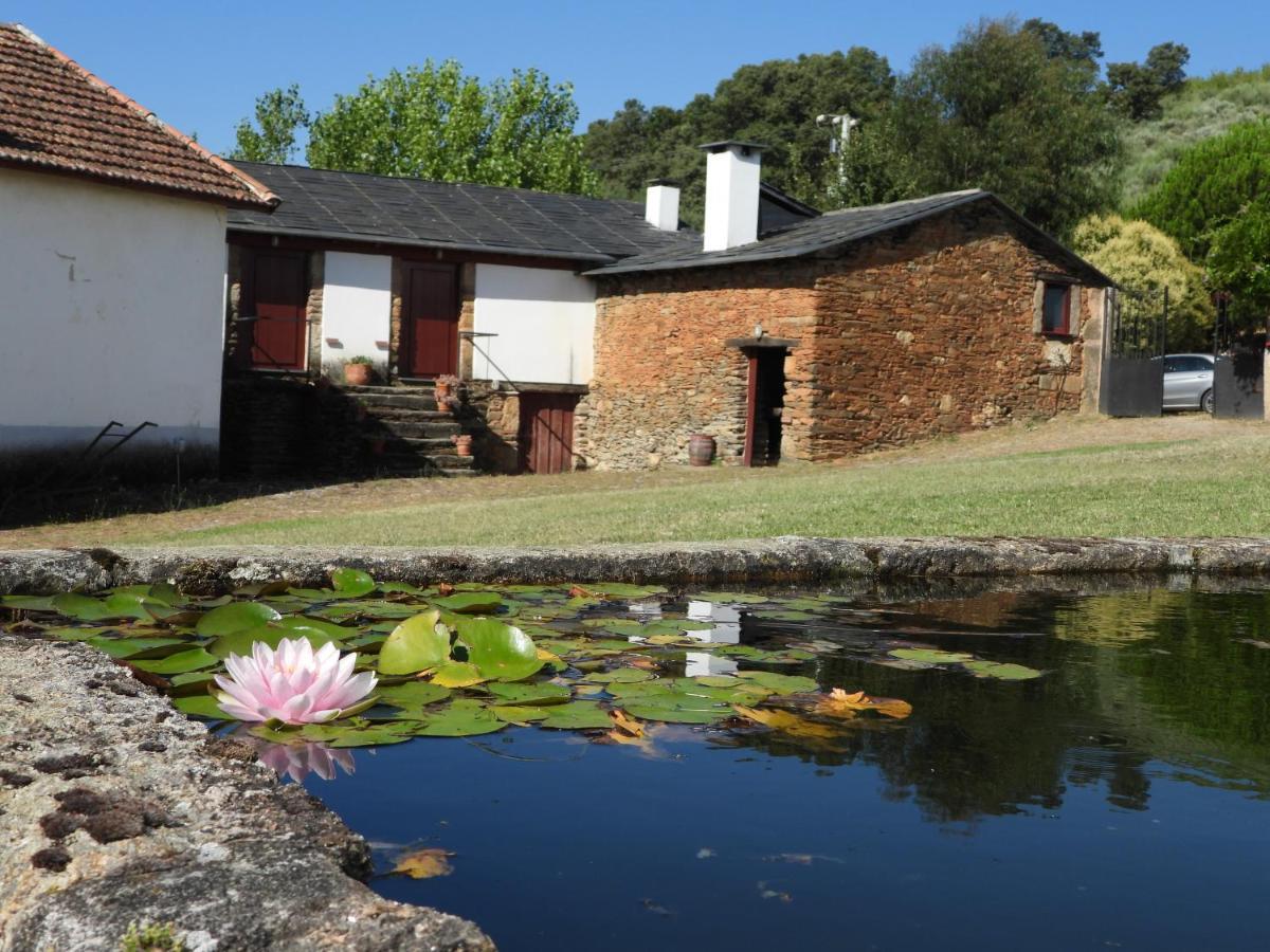 Quinta Da Alagoa Villa Santa Maria de Emeres ภายนอก รูปภาพ