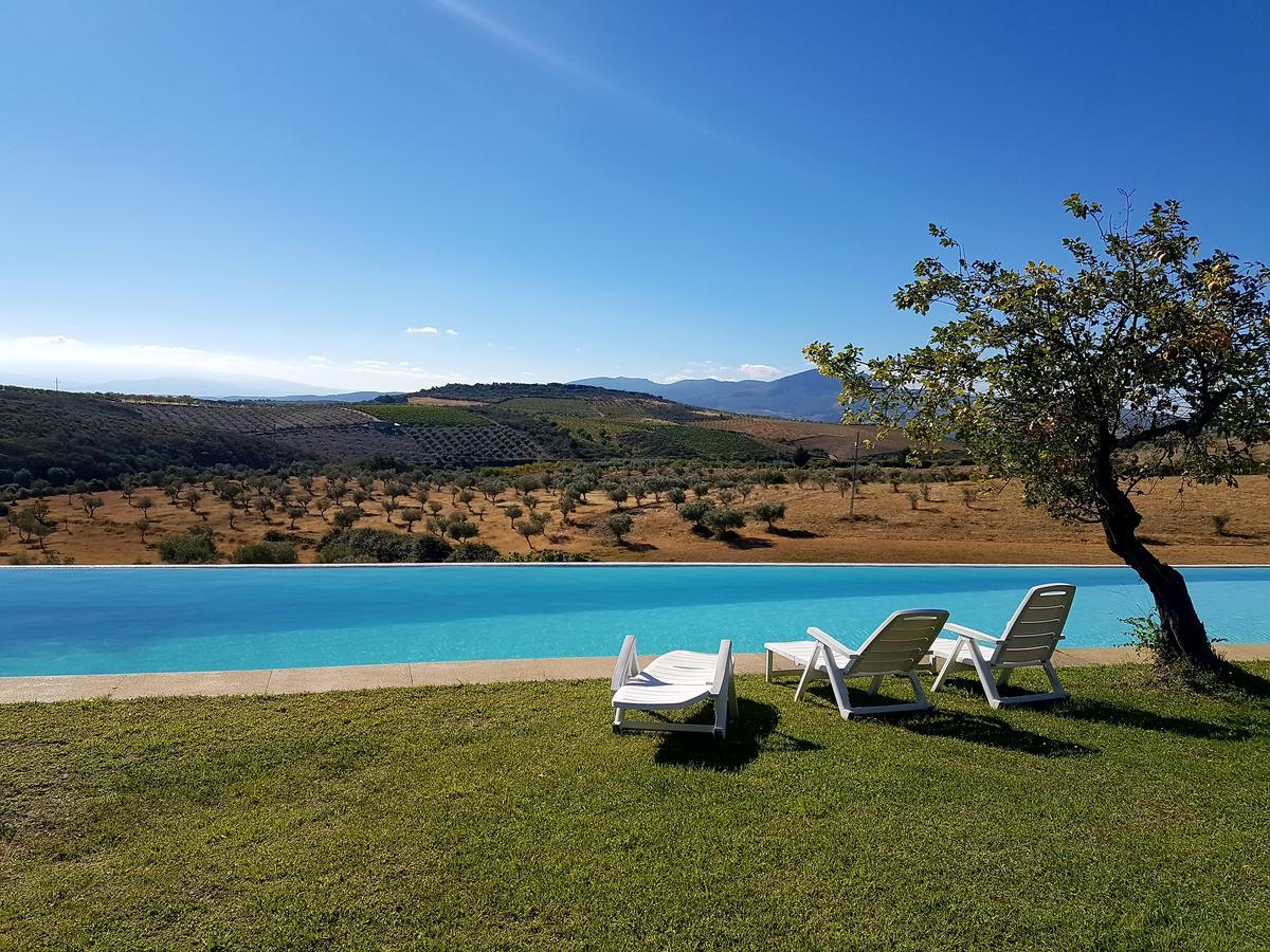 Quinta Da Alagoa Villa Santa Maria de Emeres ภายนอก รูปภาพ