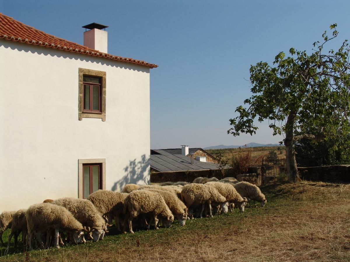 Quinta Da Alagoa Villa Santa Maria de Emeres ภายนอก รูปภาพ