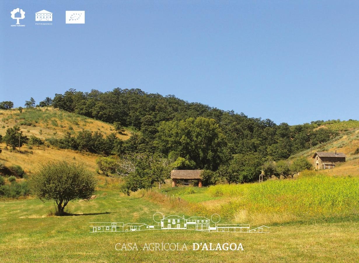 Quinta Da Alagoa Villa Santa Maria de Emeres ภายนอก รูปภาพ